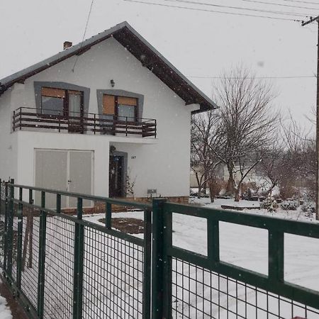 Moj Salas Novi Sad Extérieur photo